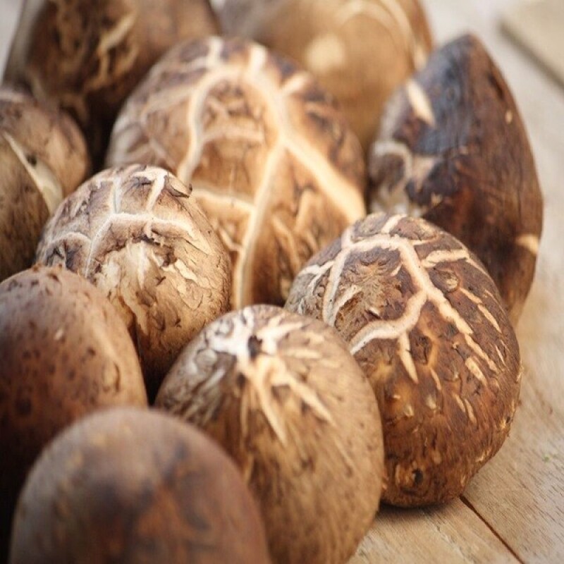 솔바우농부쌀,솔바우,춘천솔바우,지역먹거리,현지인먹거리,춘천먹거리,강원먹거리,백미,쌀,춘천농산물,강원농산물