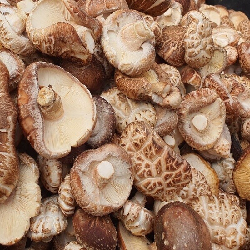 솔바우농부쌀,솔바우,춘천솔바우,지역먹거리,현지인먹거리,춘천먹거리,강원먹거리,백미,쌀,춘천농산물,강원농산물