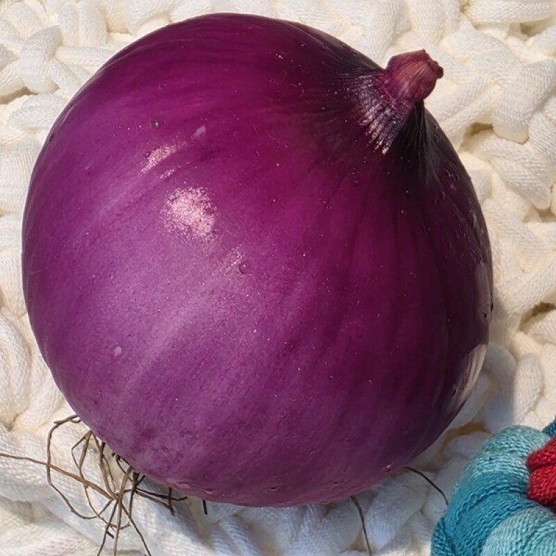 솔바우농부쌀,솔바우,춘천솔바우,지역먹거리,현지인먹거리,춘천먹거리,강원먹거리,백미,쌀,춘천농산물,강원농산물