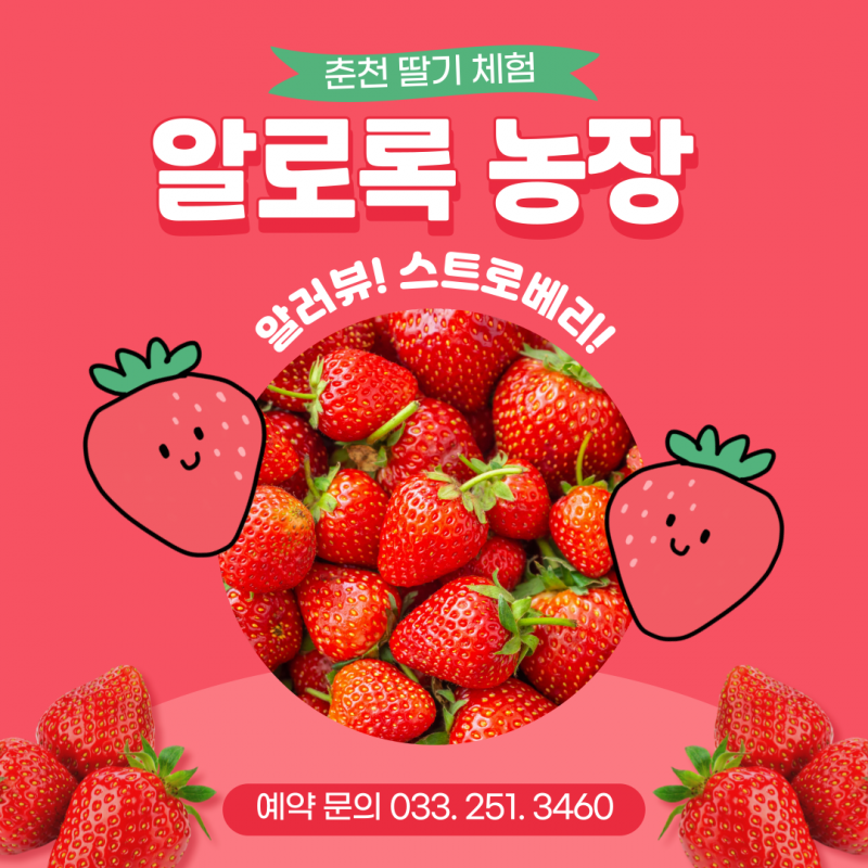 솔바우농부쌀,솔바우,춘천솔바우,지역먹거리,현지인먹거리,춘천먹거리,강원먹거리,백미,쌀,춘천농산물,강원농산물