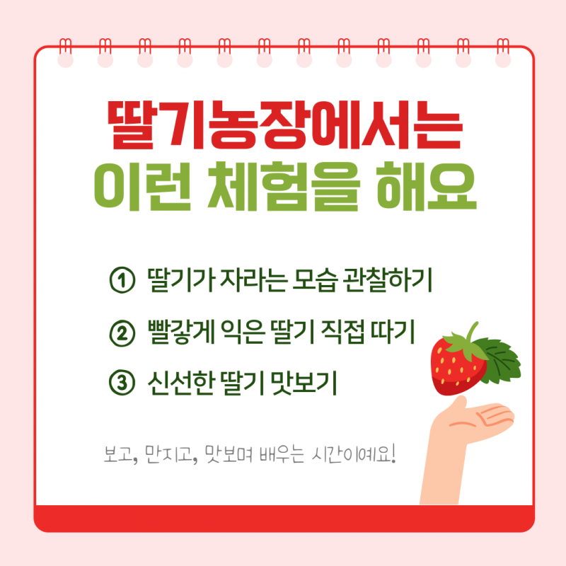 솔바우농부쌀,솔바우,춘천솔바우,지역먹거리,현지인먹거리,춘천먹거리,강원먹거리,백미,쌀,춘천농산물,강원농산물