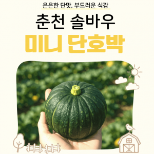 솔바우 미니단호박