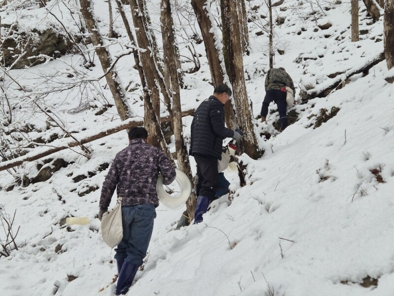 솔바우농부쌀,솔바우,춘천솔바우,지역먹거리,현지인먹거리,춘천먹거리,강원먹거리,백미,쌀,춘천농산물,강원농산물