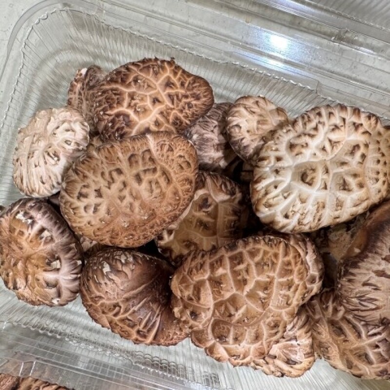 솔바우농부쌀,솔바우,춘천솔바우,지역먹거리,현지인먹거리,춘천먹거리,강원먹거리,백미,쌀,춘천농산물,강원농산물