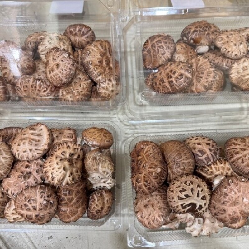 솔바우농부쌀,솔바우,춘천솔바우,지역먹거리,현지인먹거리,춘천먹거리,강원먹거리,백미,쌀,춘천농산물,강원농산물