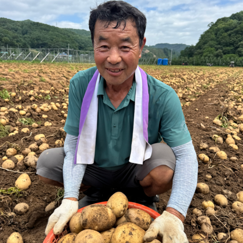 솔바우농부쌀,솔바우,춘천솔바우,지역먹거리,현지인먹거리,춘천먹거리,강원먹거리,백미,쌀,춘천농산물,강원농산물